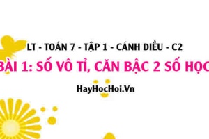 Khái niệm Số vô tỉ là gì, căn bậc hai số học là gì? Toán 7 bài 1 Cánh Diều